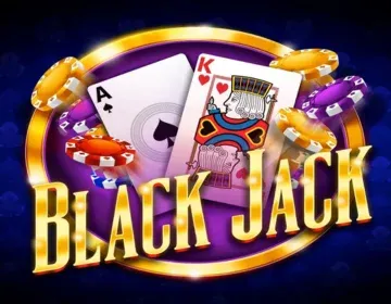Black Jack Casino Game