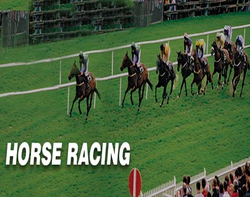 Horse Racing